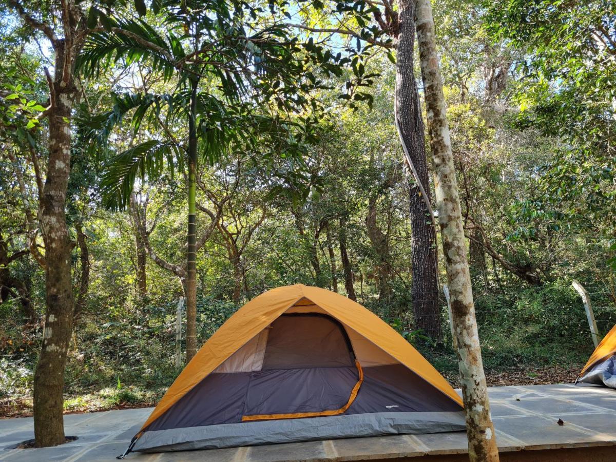 Captain'S Camp Sirsi Dış mekan fotoğraf
